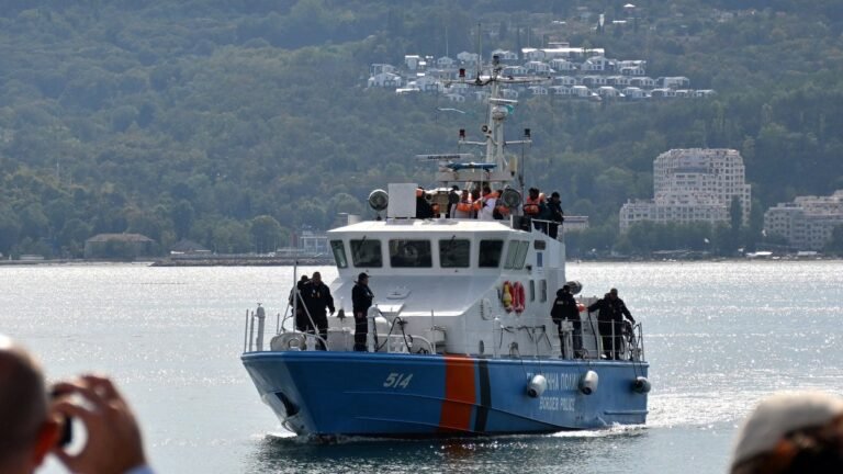 Drone attack sinks ship off Bulgaria’s Black Sea coast, PM says