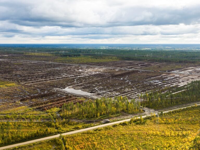 Finland launches criminal probe of suspected environmental damage by Google